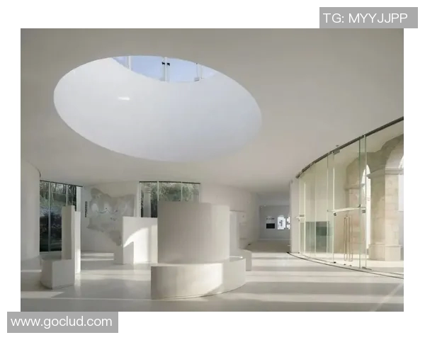 姚明明在新西兰的篮球之旅与文化交流探索之路