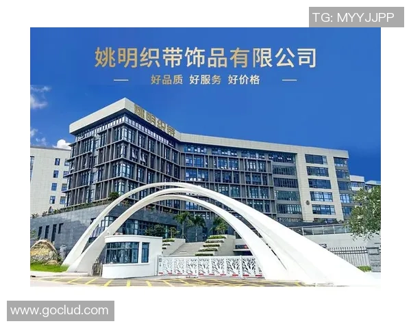 姚明织带材料的创新应用与发展前景分析