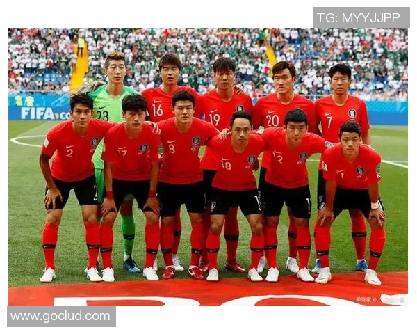 欧洲甲级足球明星队的辉煌历程与未来展望分析