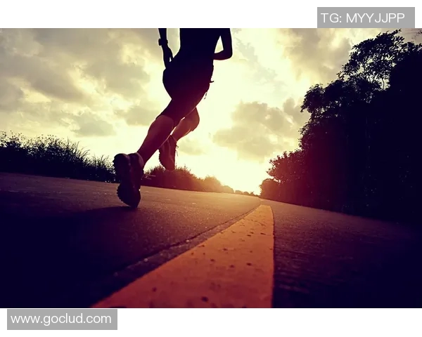 篮球场上的荣耀与坚持我的明星之路日记 篮球场上的荣耀与坚持我的明星之路日记