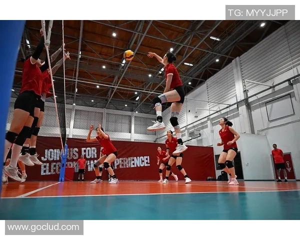 篮球与排球明星的跨界对决与运动精神的完美融合